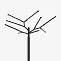 Trees1004-9